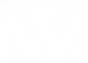 W Karaoke Logo